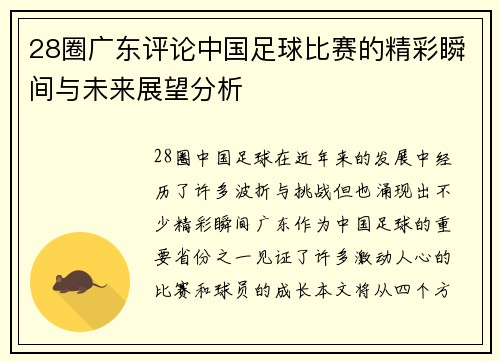 28圈广东评论中国足球比赛的精彩瞬间与未来展望分析