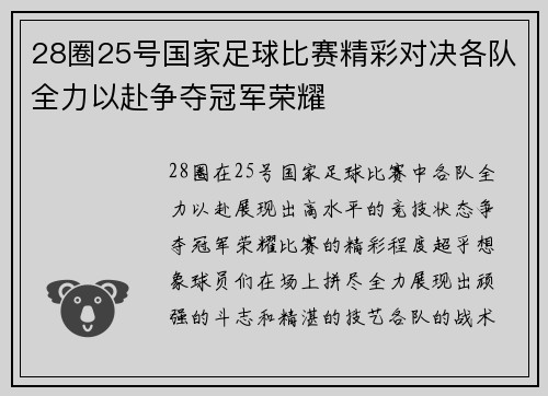 28圈25号国家足球比赛精彩对决各队全力以赴争夺冠军荣耀