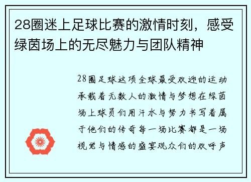 28圈迷上足球比赛的激情时刻，感受绿茵场上的无尽魅力与团队精神